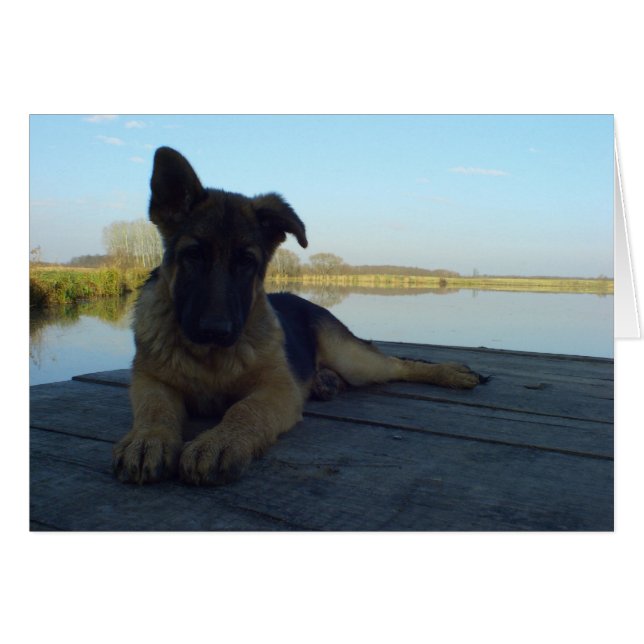 Ta en paus hälsningskort (Framsidan Horizontal)