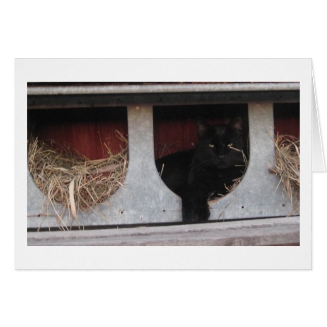 ta en paus OBS kort (Framsidan Horizontal)