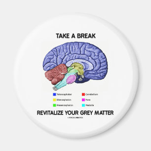 Ta ett avbrott återupplivar din intelligens magnet