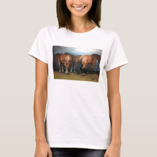 Ta ett avbrott - Chertsey Show 2012 Tee