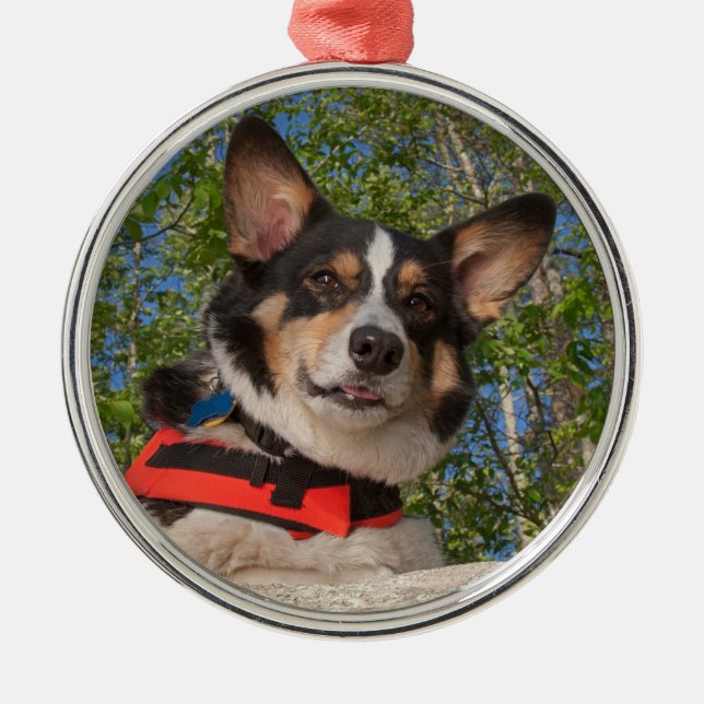 Ta ett avbrott julgransprydnad metall (Framsidan)