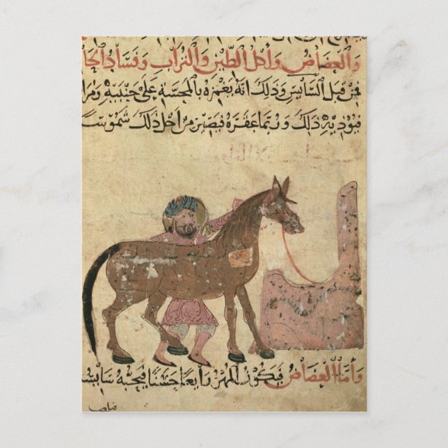 Ta hand om hästen, illustration vykort (Framsida)