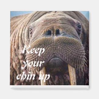 Ta inte emot väl sympatikort: Hospice eller sjukdo Magnet