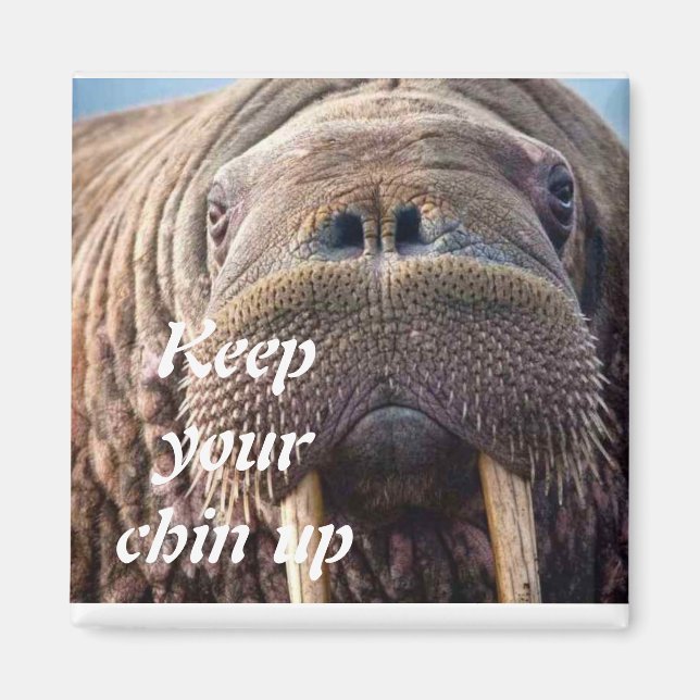 Ta inte emot väl sympatikort: Hospice eller sjukdo Magnet (Framsidan)