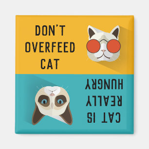 TA INTE ÖVER KAT-coolans NOTERINGSTID Matande Katt Magnet