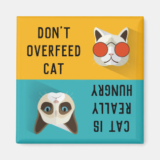 TA INTE ÖVER KAT-coolans NOTERINGSTID Matande Katt Magnet