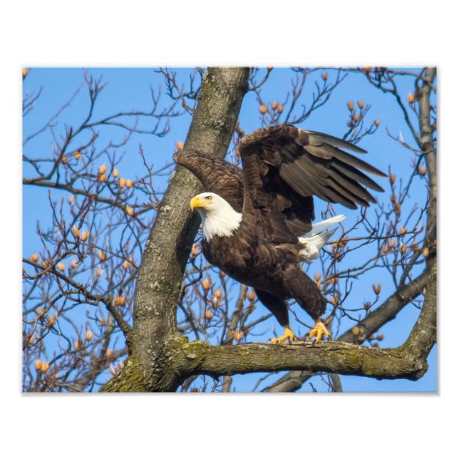 Ta lädret! fototryck (Framsidan)
