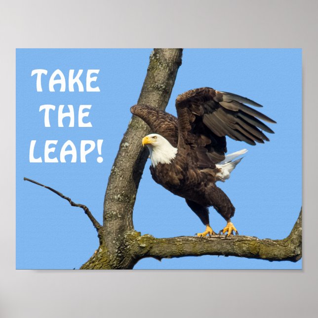 Ta lädret! poster (Framsidan)