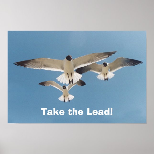 Ta ledningen! poster (Framsidan)