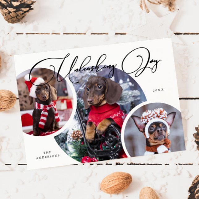 Ta loss Joy White Hund Photo Helgdag Card Julkort (Skapare uppladdad)