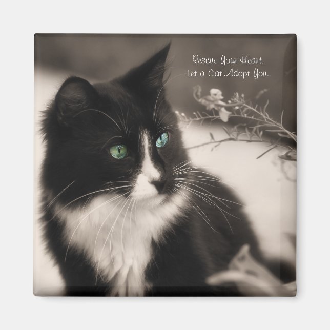 Ta med dig Räddingen i hjärtat och ta en katt Magnet (Framsidan)