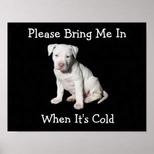 Ta med mig när det är Kall Hund Poster