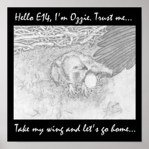 TA MIN VINGE LÅT OSS HEMMA SPARA WILDLIFE POSTER