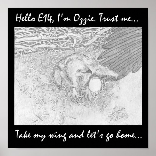 TA MIN VINGE LÅT OSS HEMMA SPARA WILDLIFE POSTER (Framsidan)