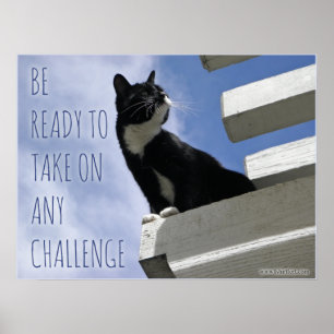 Ta över världens kutkittmotivation poster