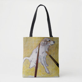 Ta p-diskar för tagg tygkasse