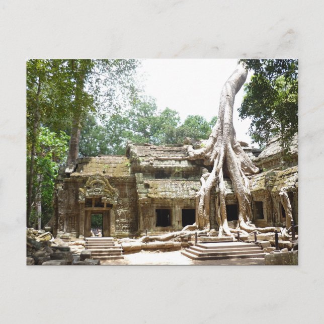 ta prohm angkor vykort (Framsida)