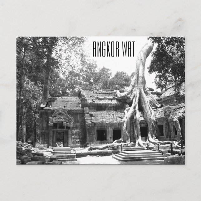 ta prohm angkor vykort (Framsida)