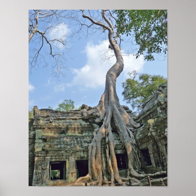 Ta Prohm Poster (Framsidan)