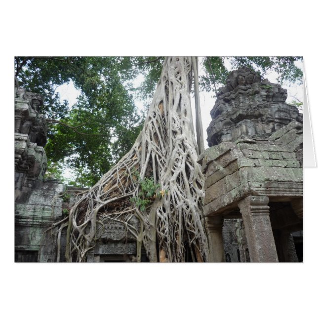 ta prohm-rötter hälsningskort (Framsidan Horizontal)