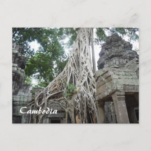 ta prohm-rötter vykort