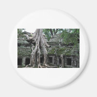 ta prohm tempel i Kambodia