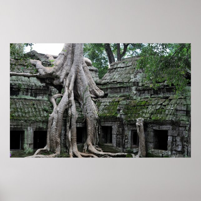ta prohm tempel i Kambodia Poster (Framsidan)