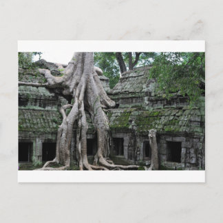 ta prohm tempel i Kambodia Vykort