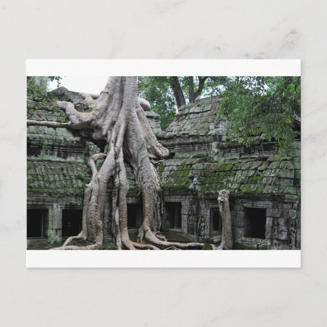 ta prohm tempel i Kambodia Vykort (Framsida)