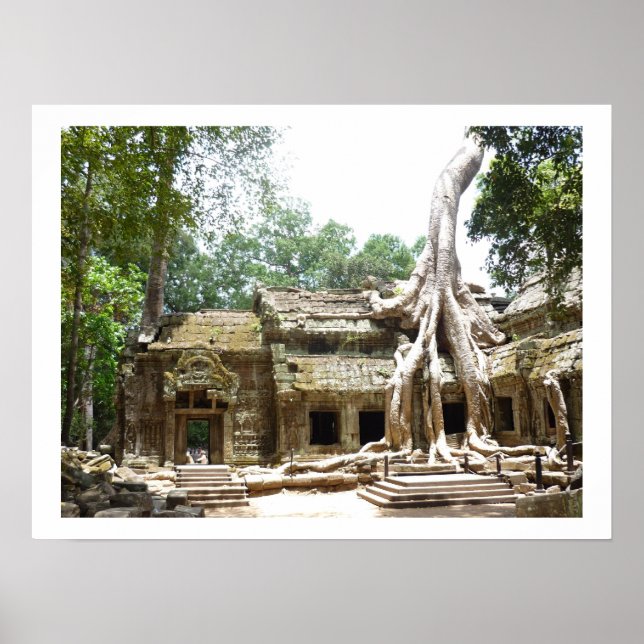 ta prohm träd gräns poster (Framsidan)