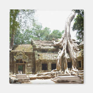 ta prohm träd magnet