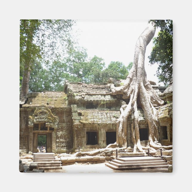 ta prohm träd magnet (Framsidan)