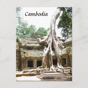 ta prohm träd rötter vykort