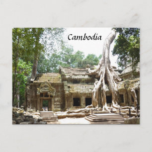 ta prohm träd vykort