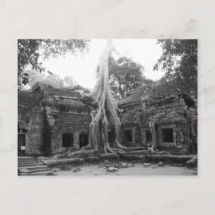 Ta Prohm Vykort