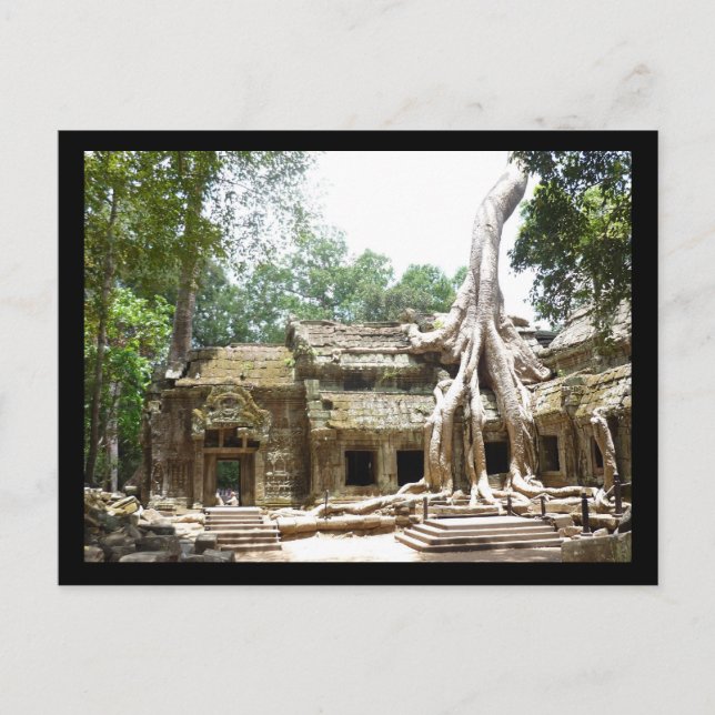 ta prohm vykort (Framsida)