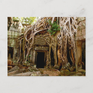 Ta Prohm Vykort