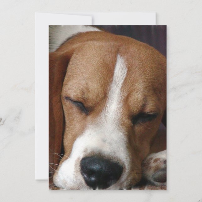 Ta sig en lur Beagleinbjudan Inbjudningar (Framsida)