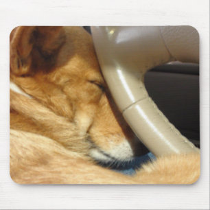 Ta sig en lur Corgichauffören Mousepad Musmatta