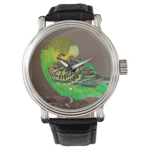 Ta sig en lur den Budgie klockan Armbandsur
