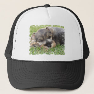 Ta sig en lur Schnauzerbaseballhatten Truckerkeps