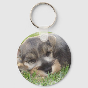 Ta sig en lur schnauzeren Keychain Nyckelring
