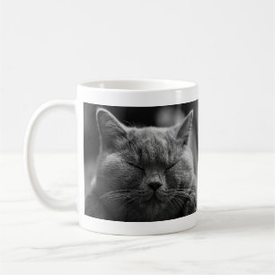 Ta sig en tupplur den gråa katten kaffemugg