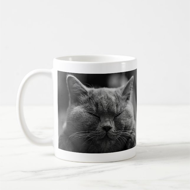 Ta sig en tupplur den gråa katten kaffemugg (Vänster)