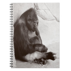 Ta sig en tupplur gorillafotoet anteckningsbok med spiral