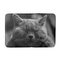 Ta sig en tupplur gråa det sköt katthuvudet