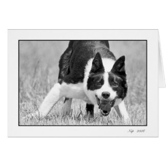 Ta sig en tupplur hälsningskort