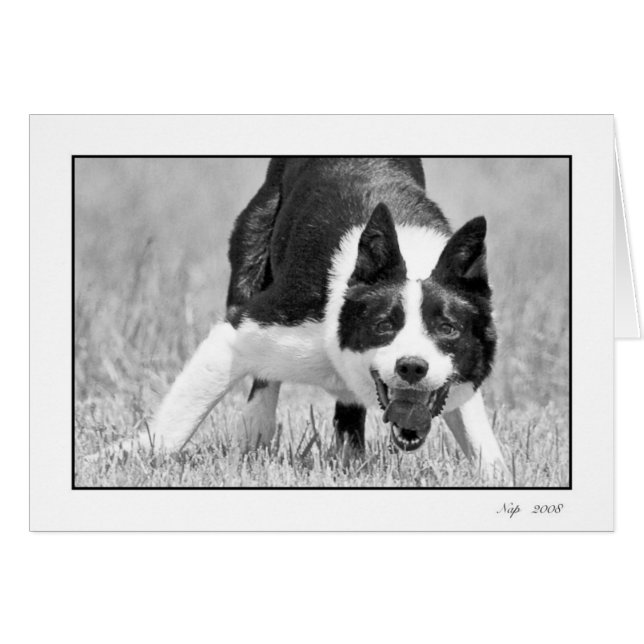 Ta sig en tupplur hälsningskort (Framsidan Horizontal)