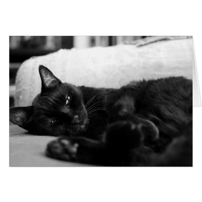 Ta sig en tupplur katten hälsningskort (Framsidan Horizontal)