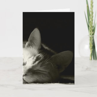 "Ta sig en tupplur katten ", Kort